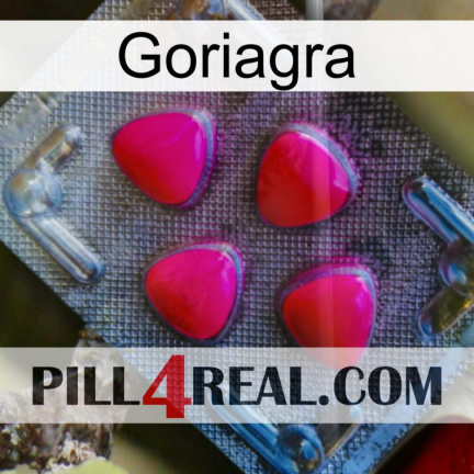 Goriagra 13